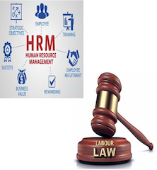 Dual Program: Certificate Course in Labour Laws and Human Resource Management