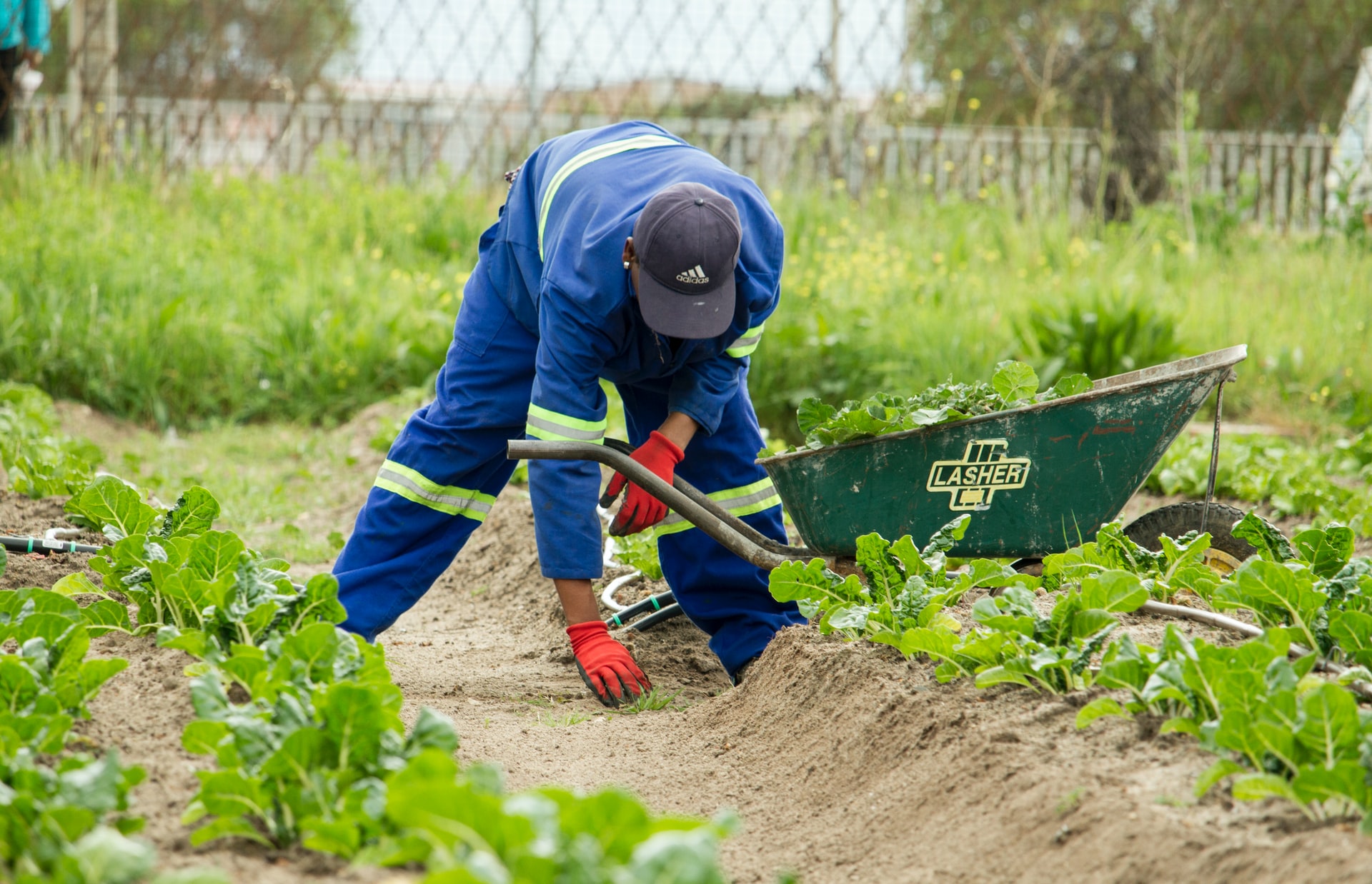 10 Major Labor Laws in India